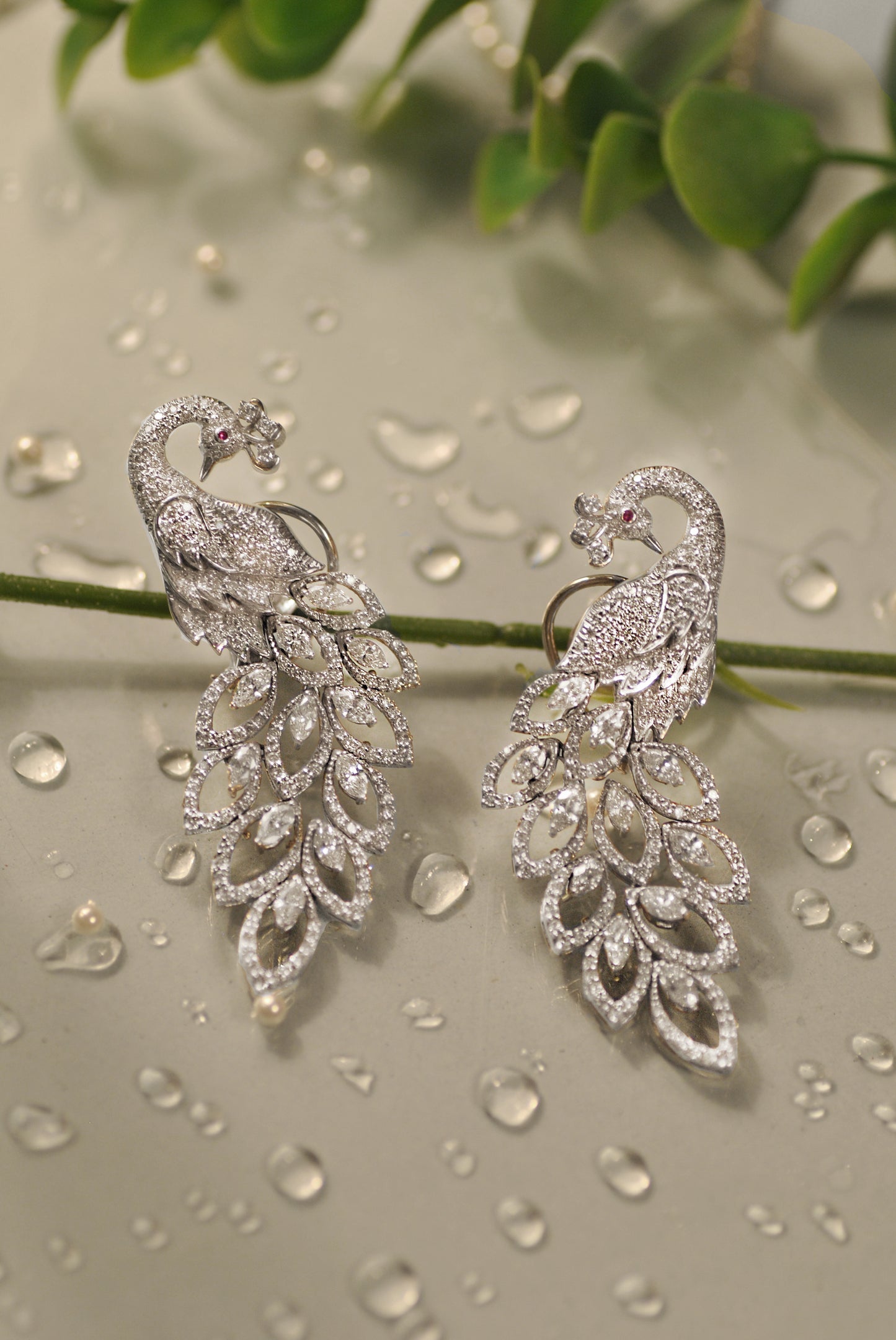 Regal Plume Ring