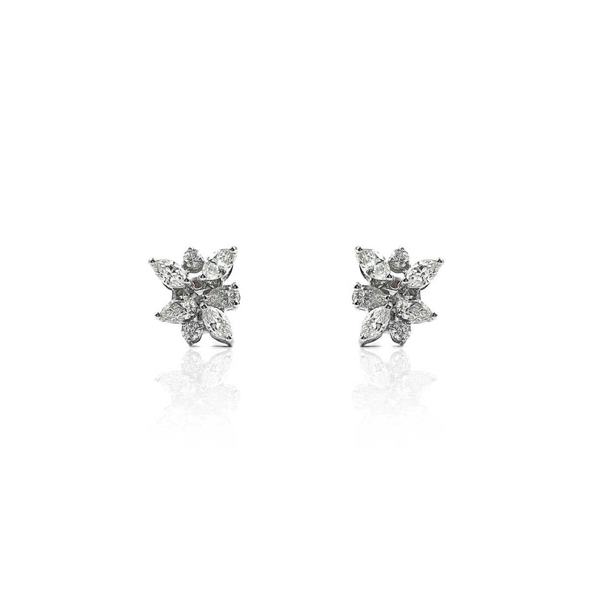 Donatus Daily Wear Fancy Diamond Earring