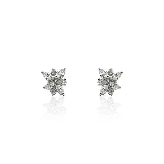 Donatus Daily Wear Fancy Diamond Earring