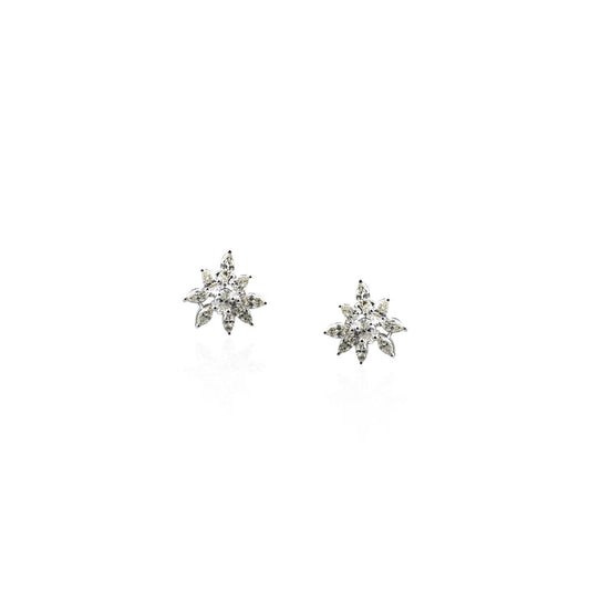 Adriane Brightest Diamond Earring