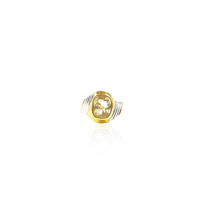 Anastasius Gemstone Special Men's Ring