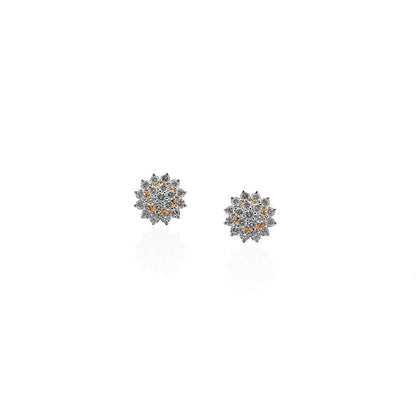 Adaliz Shiny Diamond Stud Earring