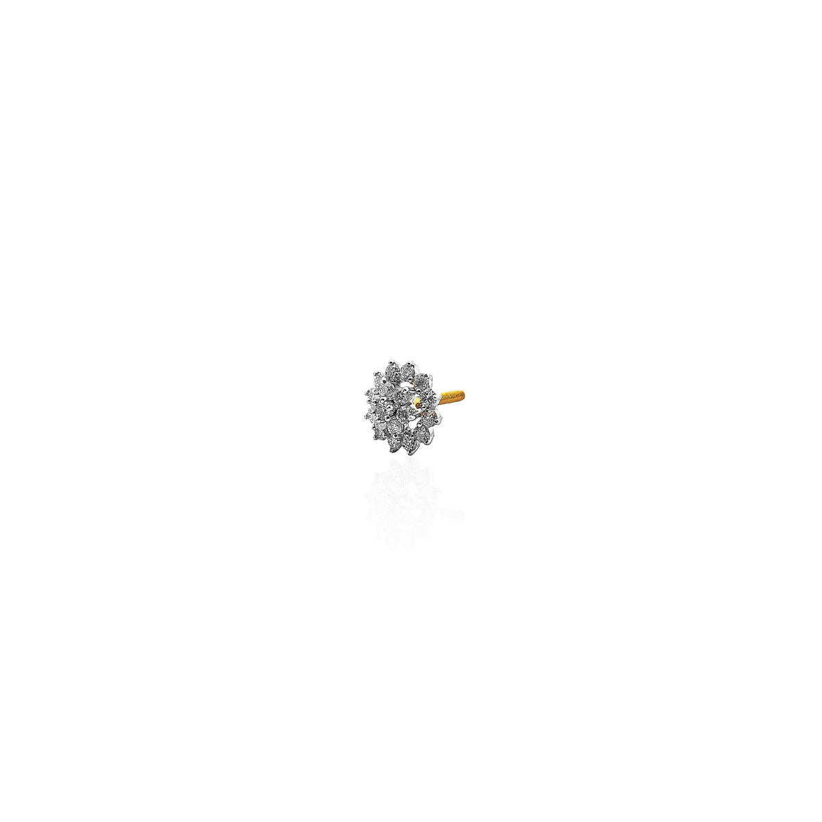 Adaliz Shiny Diamond Stud Earring